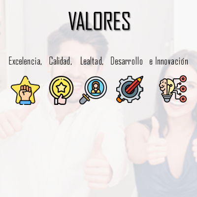 team 13